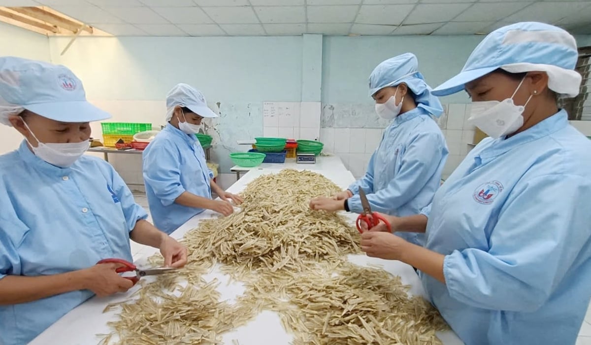 Chế biến xương cá đục sấy khô xuất khẩu đi Nhật Bản ở Công ty Tứ Hải (thành phố Vũng Tàu). Ảnh: Lê Bình. Chế biến xương cá đục sấy khô xuất khẩu đi Nhật Bản ở Công ty Tứ Hải (thành phố Vũng Tàu). Ảnh: Lê Bình.