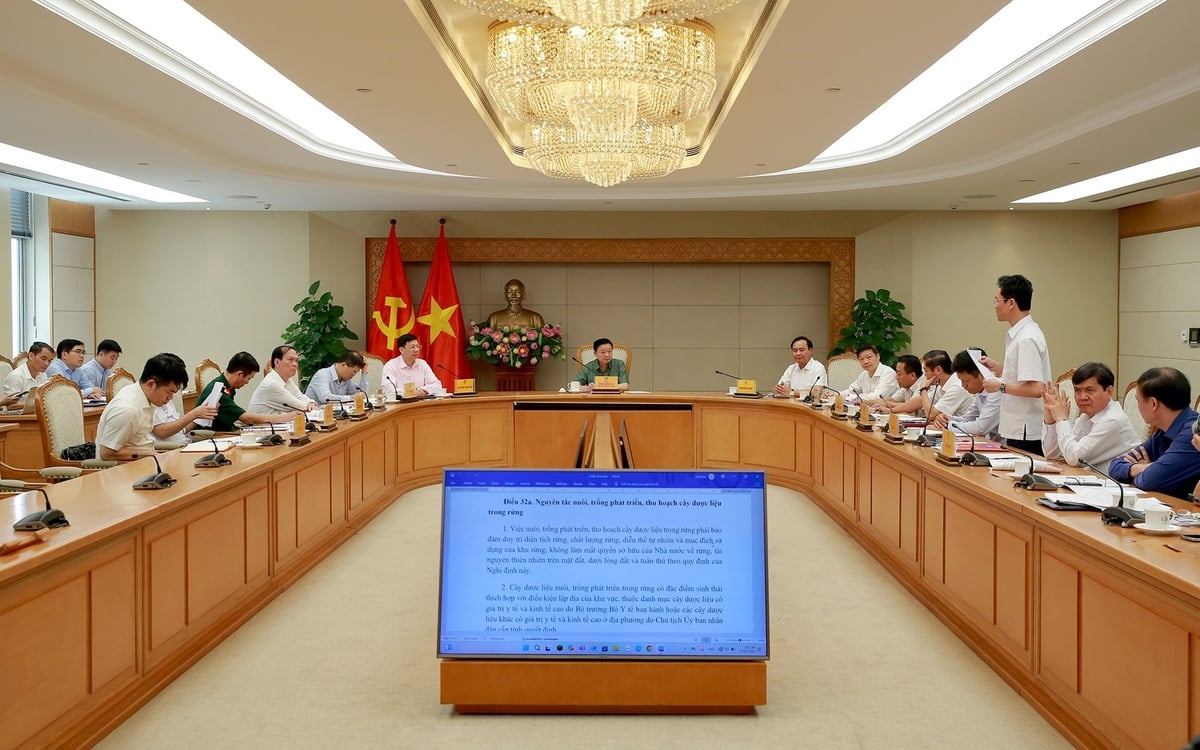 Toàn cảnh phiên họp. Ảnh: VGP/Minh Khôi. Toàn cảnh phiên họp. Ảnh: VGP/Minh Khôi.