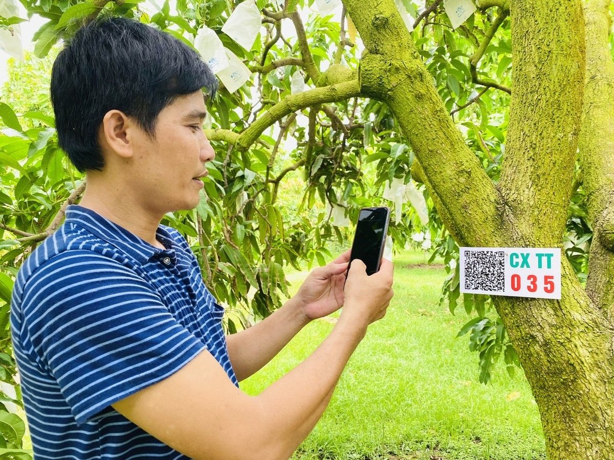 Sản xuất nông nghiệp ở Đồng Tháp. Ảnh: Lê Hoàng Vũ. Sản xuất nông nghiệp ở Đồng Tháp. Ảnh: Lê Hoàng Vũ.