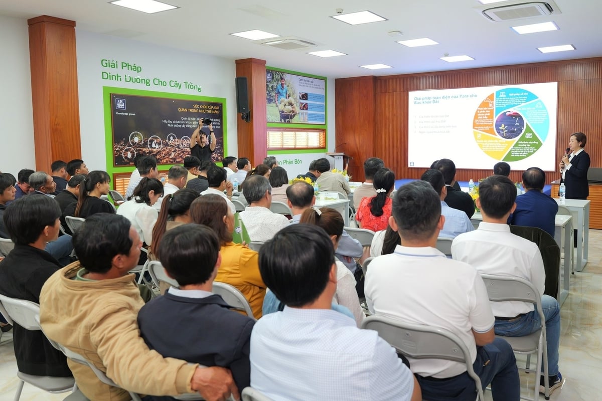 Dự án 'Xây dựng mô hình sử dụng phân bón hữu cơ trong sản xuất sầu riêng bền vững' được phối hợp tổ chức bởi Cục Bảo vệ Thực vật và Viện Thổ nhưỡng Nông sản. Ảnh: Yara Việt Nam.