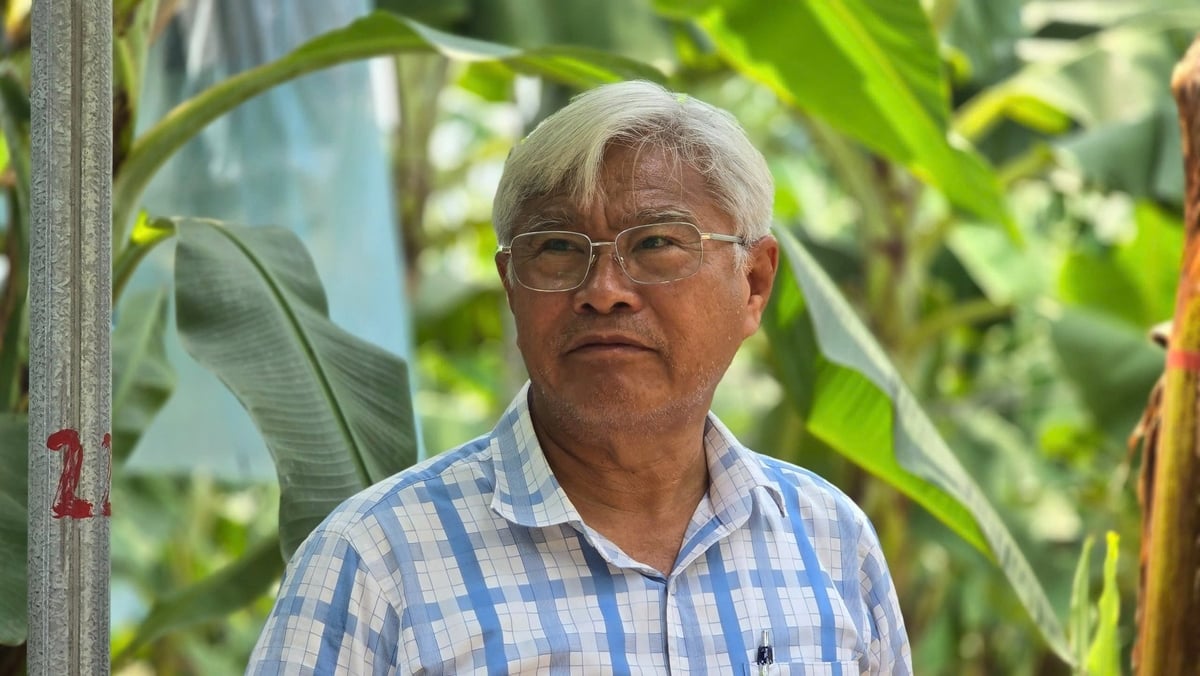 'Vua chuối' Võ Quan Huy. Ảnh: Kiên Trung. 'Vua chuối' Võ Quan Huy. Ảnh: Kiên Trung.