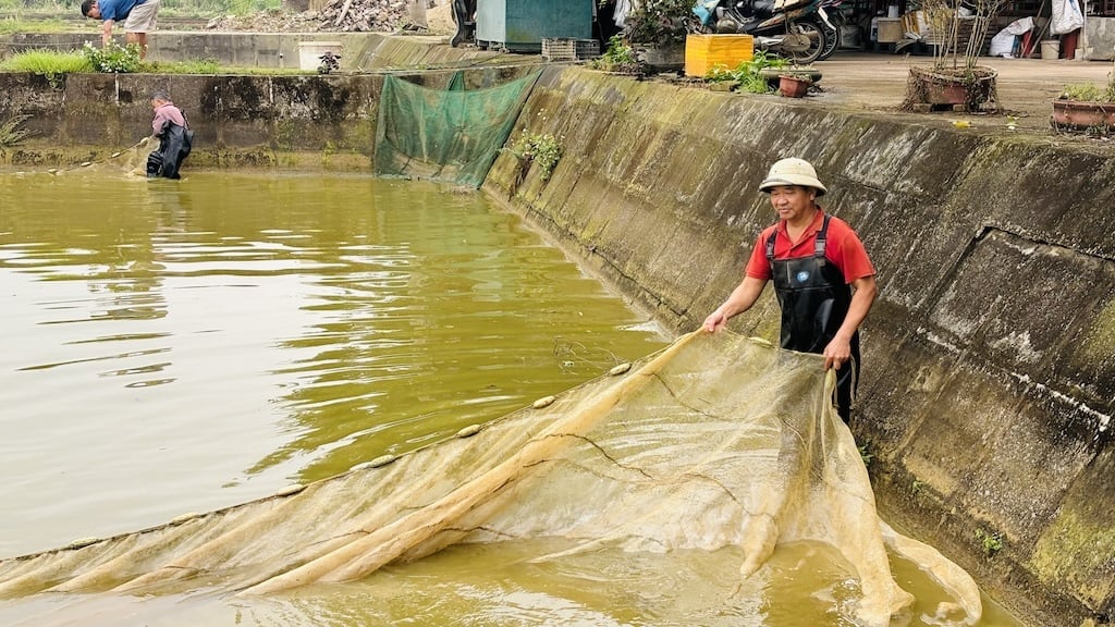 Các ao nuôi đã có thể vận hành trở lại, phục vụ sản xuất giống cho bà con địa phương. Ảnh: H.Đ. Các ao nuôi đã có thể vận hành trở lại, phục vụ sản xuất giống cho bà con địa phương. Ảnh: H.Đ.