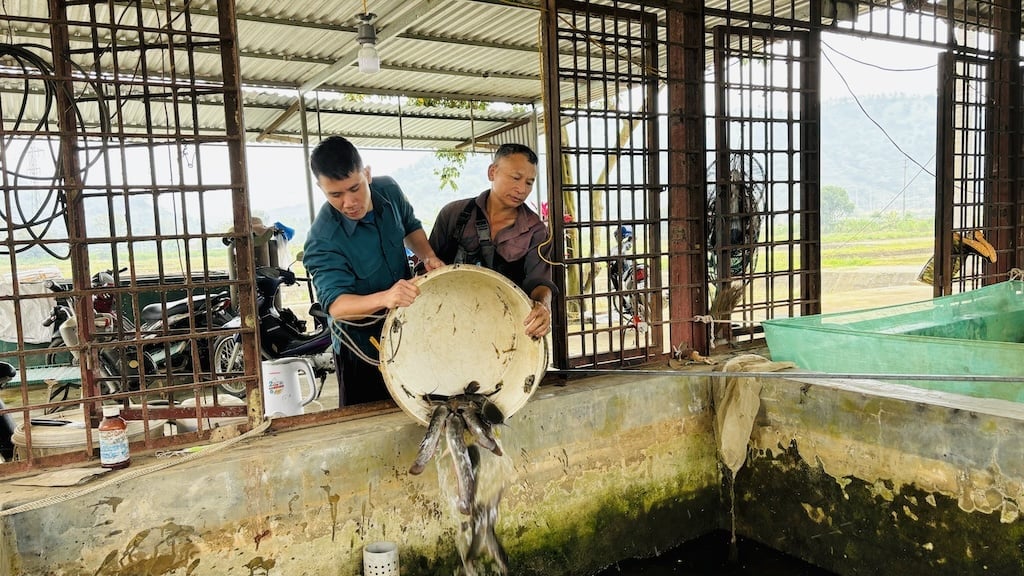 Cơ sở vật chất của Trung tâm Giống nông nghiệp Lào Cai từ nhiều năm nay không được đầu tư mới. Ảnh: H.Đ. Cơ sở vật chất của Trung tâm Giống nông nghiệp Lào Cai từ nhiều năm nay không được đầu tư mới. Ảnh: H.Đ.
