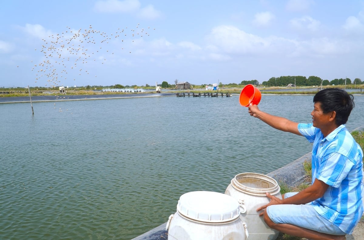 Tận dụng nguồn nước mặn, nhiều địa phương ven biển đang phát triển mạnh các mô hình nuôi trồng thủy sản. Ảnh: Kim Anh. Tận dụng nguồn nước mặn, nhiều địa phương ven biển đang phát triển mạnh các mô hình nuôi trồng thủy sản. Ảnh: Kim Anh.