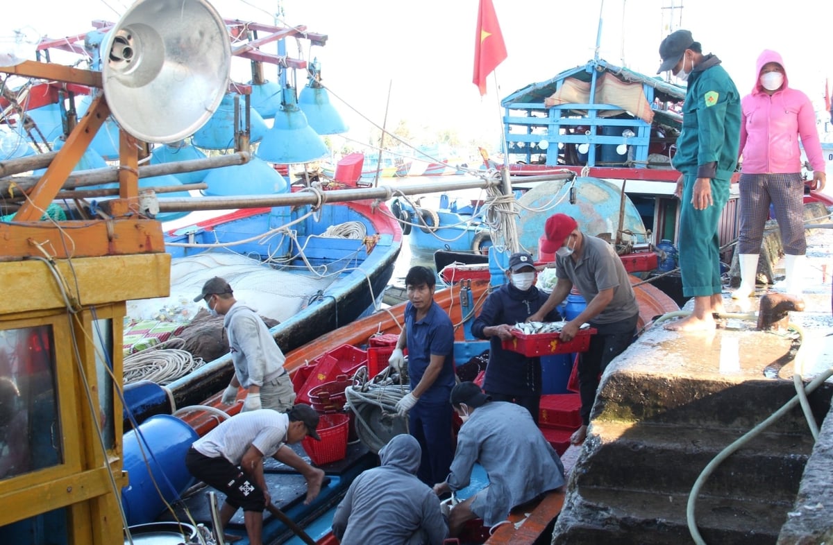 Tàu cá công suất lớn sẽ có điều kiện để áp dụng khoa học công nghệ vào sản xuất nhằm nâng cao hiệu quả khai thác hải sản. Ảnh: L.K. Tàu cá công suất lớn sẽ có điều kiện để áp dụng khoa học công nghệ vào sản xuất nhằm nâng cao hiệu quả khai thác hải sản. Ảnh: L.K.