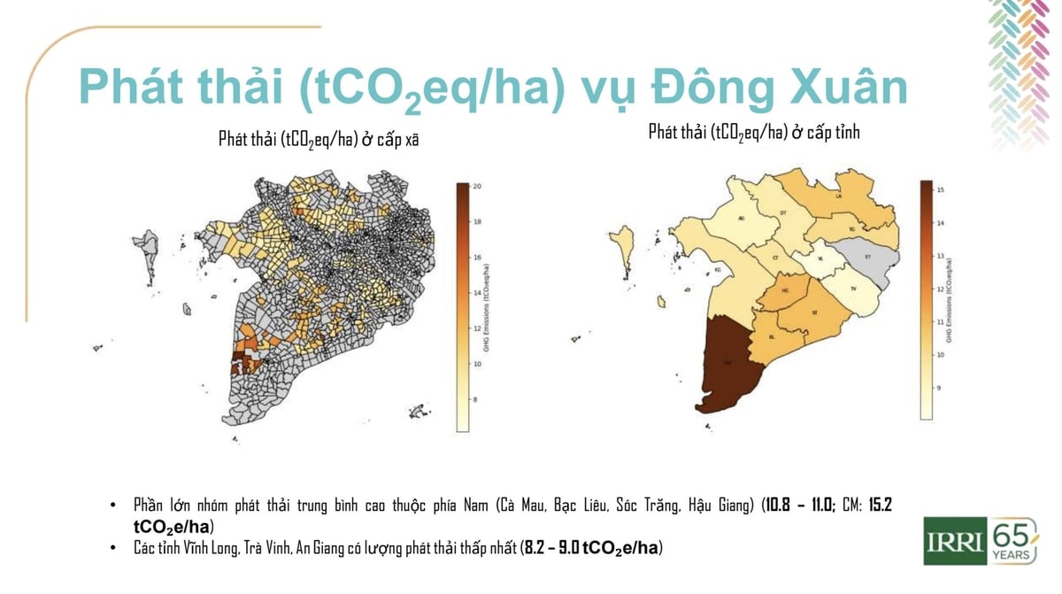 Dự kiến, 10.000 dữ liệu sẽ được tích hợp vào bản đồ tương thích canh tác giảm phát thải cho vùng ĐBSCL. Ảnh: IRRI Việt Nam. Dự kiến, 10.000 dữ liệu sẽ được tích hợp vào bản đồ tương thích canh tác giảm phát thải cho vùng ĐBSCL. Ảnh: IRRI Việt Nam.