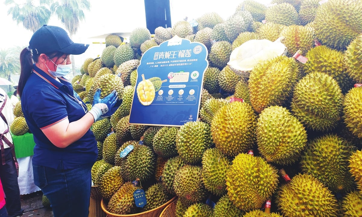 Sầu riêng đang bước vào vụ thu hoạch chính, ở cả Thái Lan và một số quốc gia lân cận như Việt Nam. Sản lượng nhập khẩu vào Trung Quốc dự báo dồi dào thời gian tới. Ảnh: Global Times. Sầu riêng đang bước vào vụ thu hoạch chính, ở cả Thái Lan và một số quốc gia lân cận như Việt Nam. Sản lượng nhập khẩu vào Trung Quốc dự báo dồi dào thời gian tới. Ảnh: Global Times.