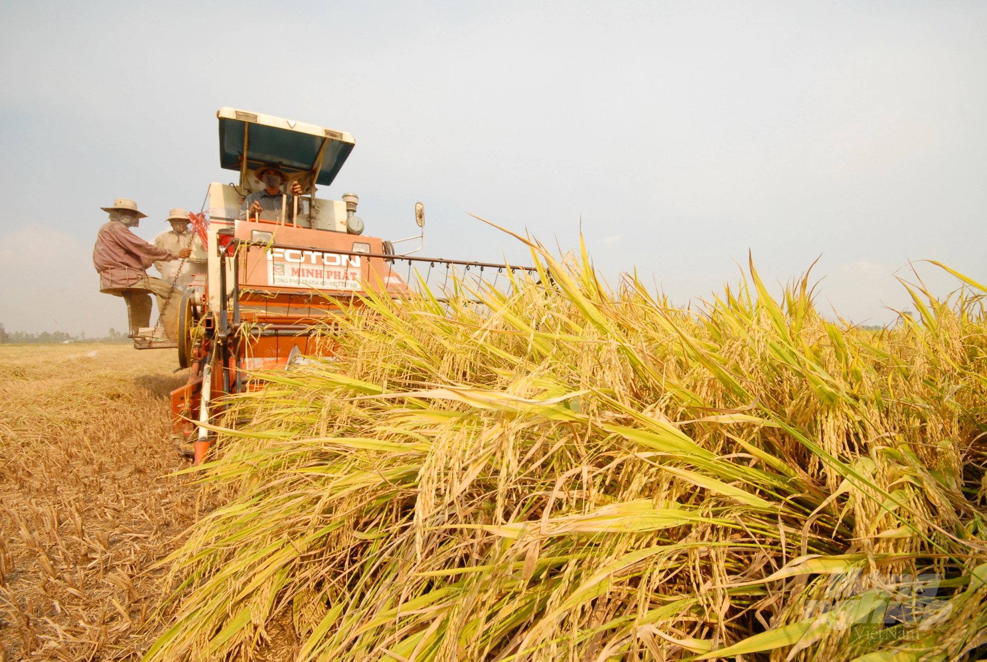 Từ một nước thiếu lương thực, Việt Nam đã vươn lên thành nước xuất khẩu nông sản tốp đầu thế giới. Ảnh: Lê Hoàng Vũ. Từ một nước thiếu lương thực, Việt Nam đã vươn lên thành nước xuất khẩu nông sản tốp đầu thế giới. Ảnh: Lê Hoàng Vũ.