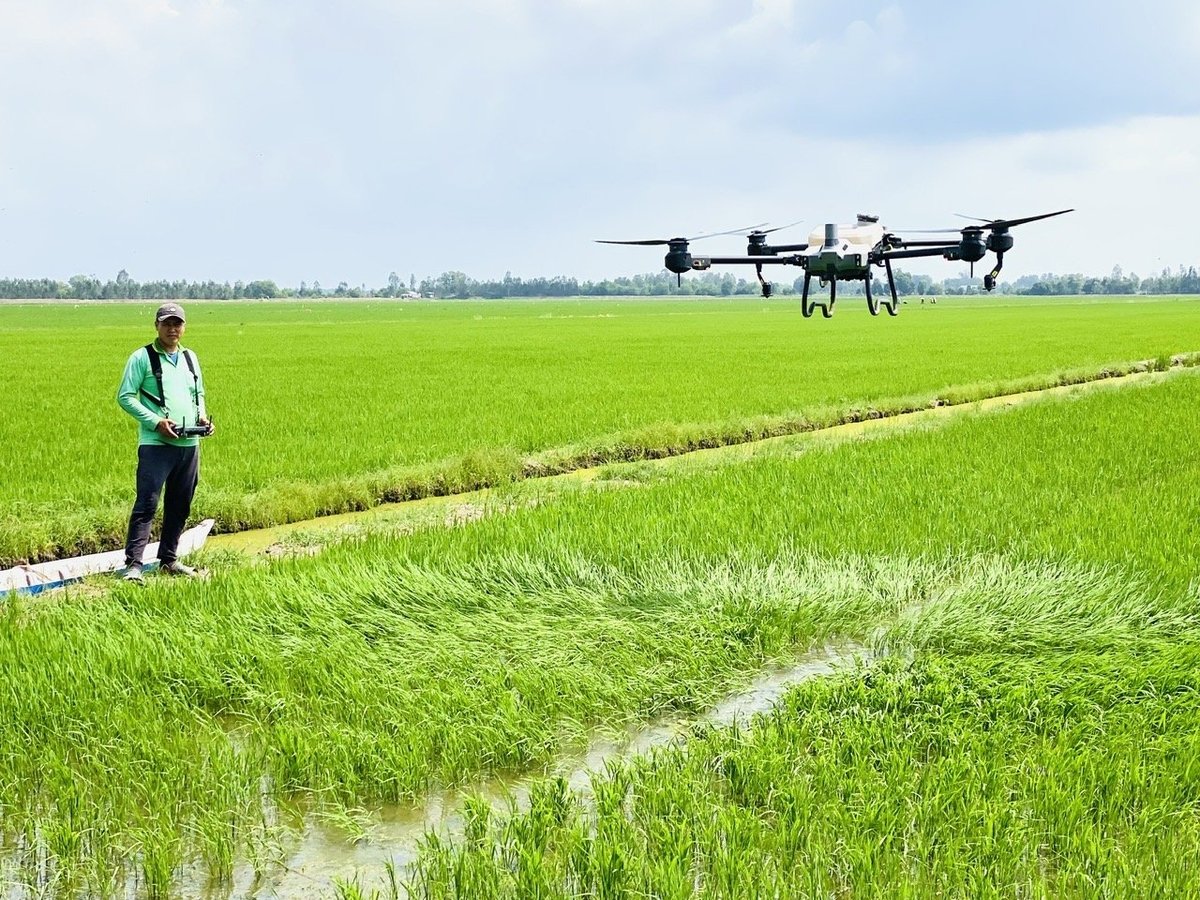 Ứng dụng máy bay không người lái đang ngày càng phổ biến và phát huy hiệu quả trong sản xuất nông nghiệp. Ảnh: Lê Hoàng Vũ. Ứng dụng máy bay không người lái đang ngày càng phổ biến và phát huy hiệu quả trong sản xuất nông nghiệp. Ảnh: Lê Hoàng Vũ.