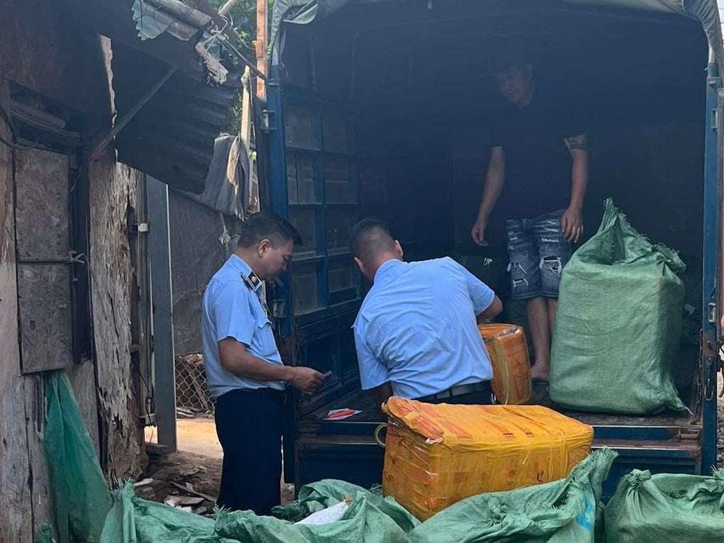 Qua kiểm tra, lực lượng chức năng phát hiện 20 thùng xốp dán kín băng dính, bên trong chứa 800kg thực phẩm đông lạnh gồm trứng gà non và tràng gà. Qua kiểm tra, lực lượng chức năng phát hiện 20 thùng xốp dán kín băng dính, bên trong chứa 800kg thực phẩm đông lạnh gồm trứng gà non và tràng gà.