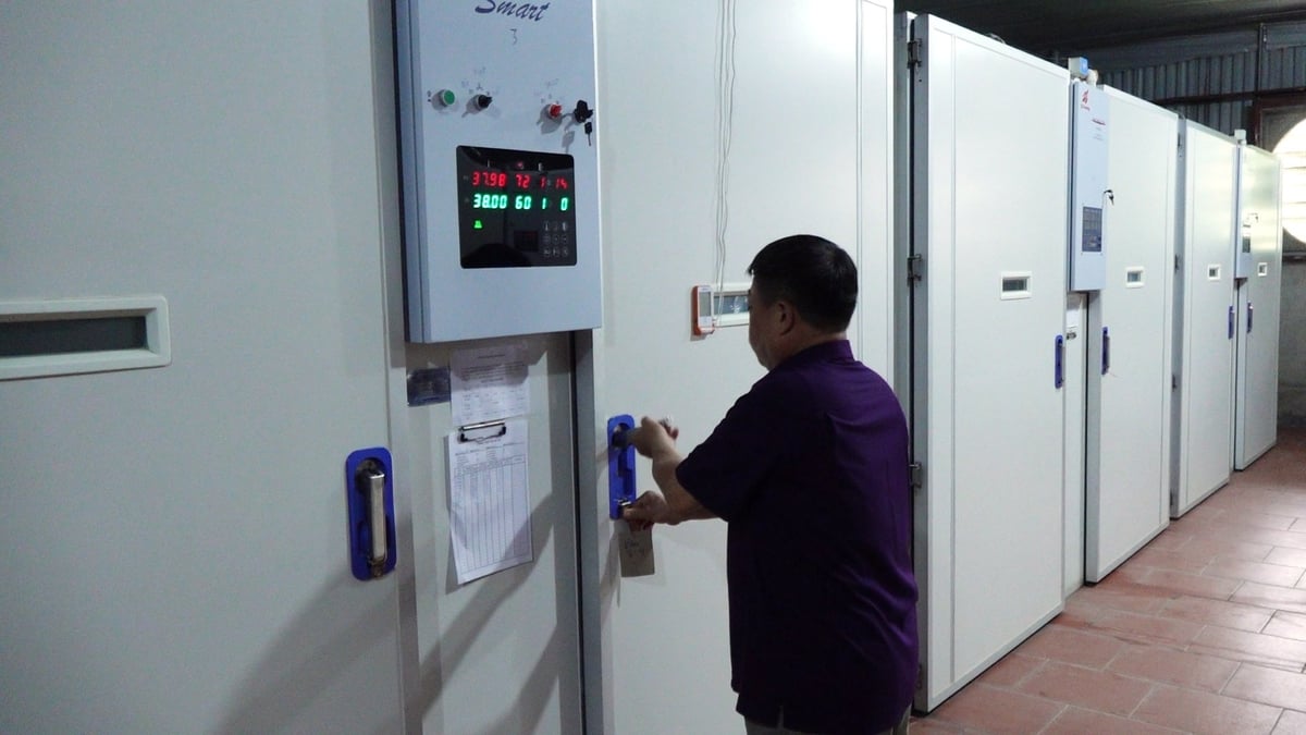 Hệ thống lò ấp hiện đại của ông Nguyễn Văn Đường. Ảnh: Quang Linh. Hệ thống lò ấp hiện đại của ông Nguyễn Văn Đường. Ảnh: Quang Linh.
