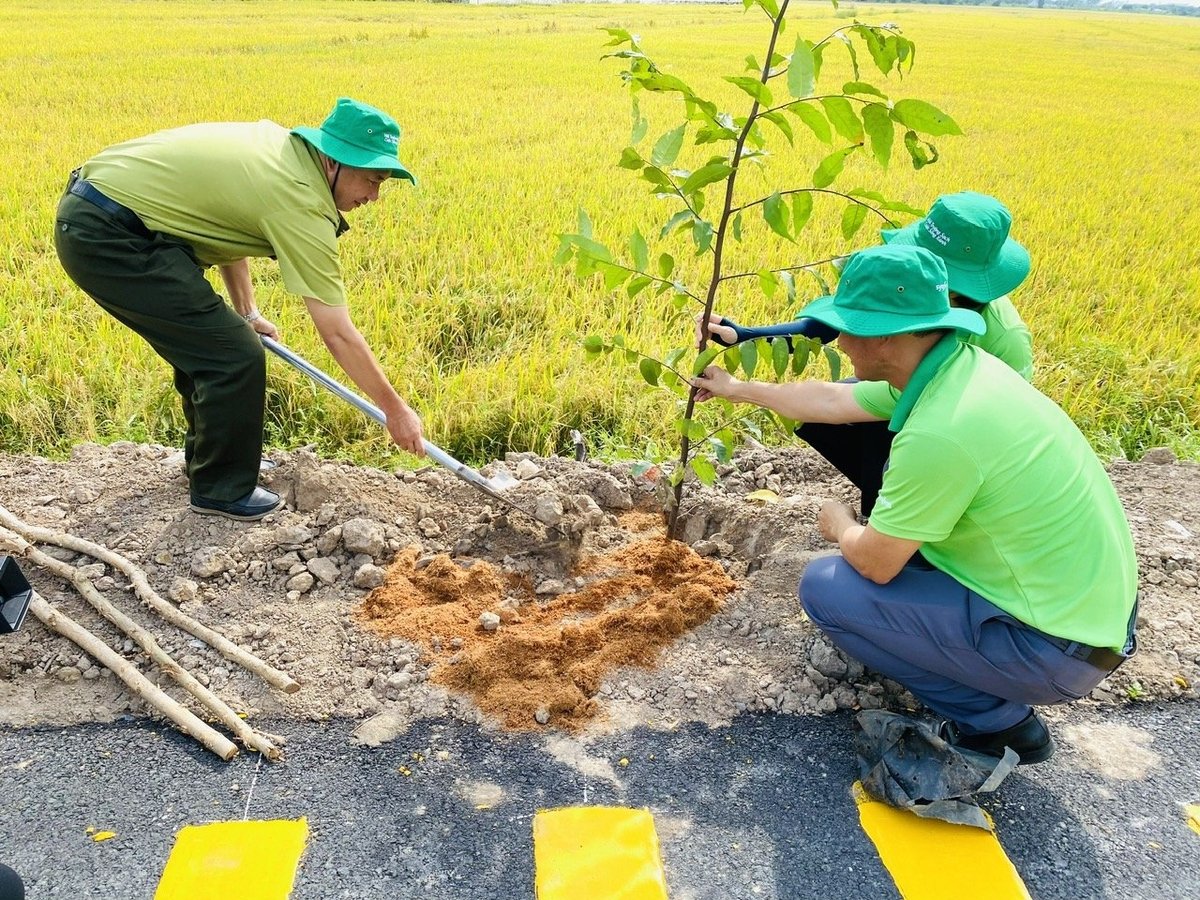 Trồng cây xanh nhằm lan tỏa tinh thần bảo vệ môi trường, tạo dựng đô thị xanh, sạch, đẹp và góp phần thực hiện mục tiêu trồng 1 tỷ cây xanh trên cả nước. Ảnh: Lê Hoàng Vũ. Trồng cây xanh nhằm lan tỏa tinh thần bảo vệ môi trường, tạo dựng đô thị xanh, sạch, đẹp và góp phần thực hiện mục tiêu trồng 1 tỷ cây xanh trên cả nước. Ảnh: Lê Hoàng Vũ.