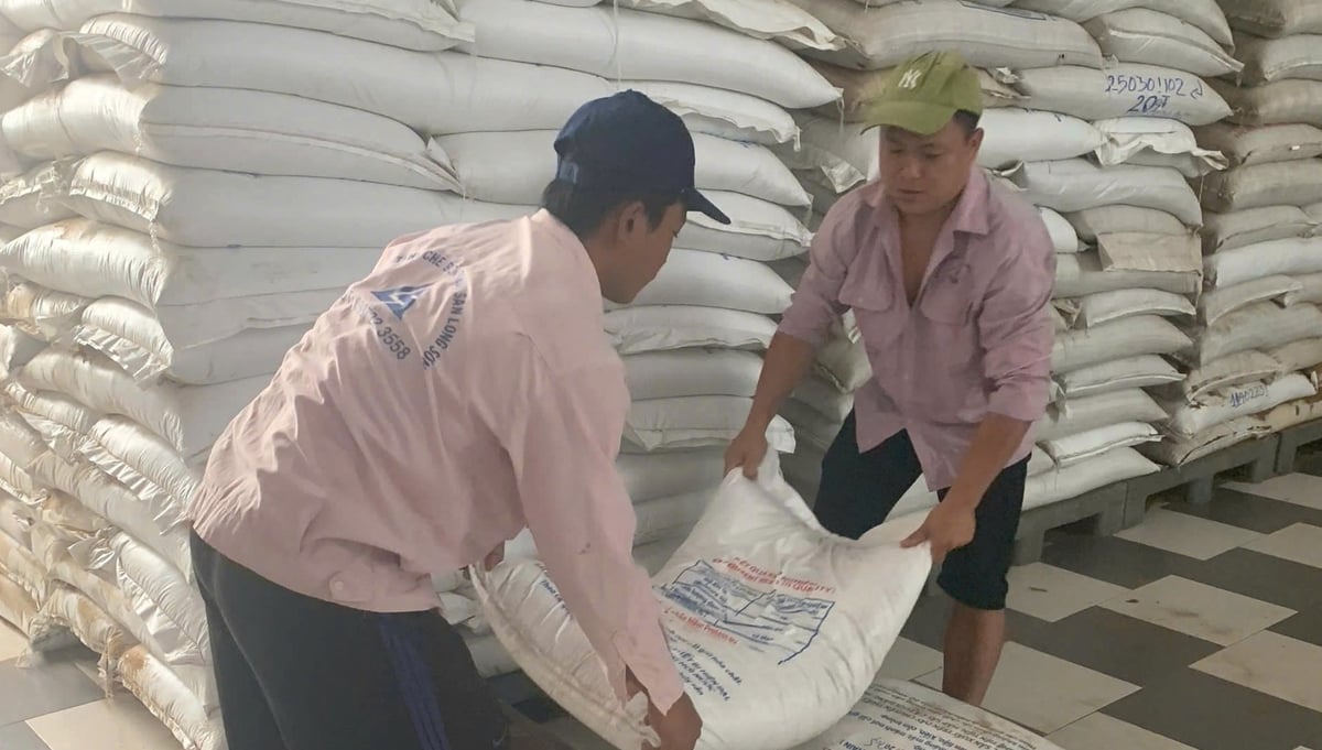 Công nhân Công ty bột cá Phúc Lộc (thành phố Vũng Tàu) bốc dỡ hàng xuất bán cho các công ty thức ăn chăn nuôi. Ảnh: Lê Bình. Công nhân Công ty bột cá Phúc Lộc (thành phố Vũng Tàu) bốc dỡ hàng xuất bán cho các công ty thức ăn chăn nuôi. Ảnh: Lê Bình.