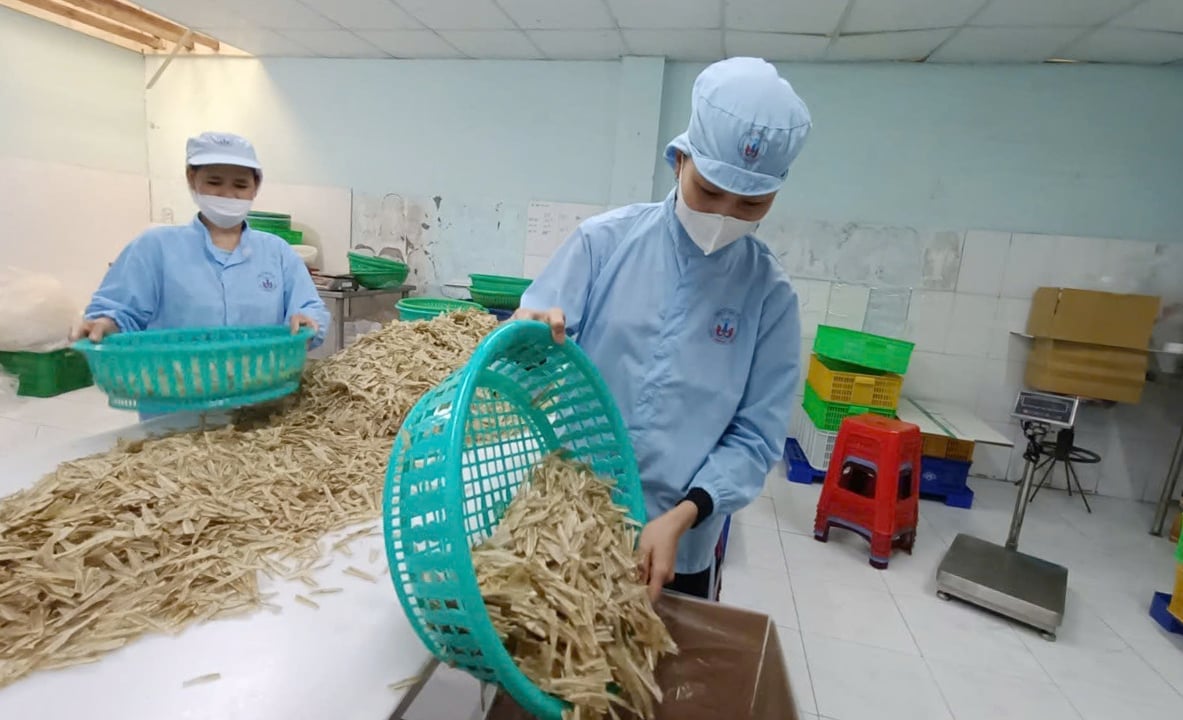 Nhiều doanh nghiệp chế biến thủy sản tại Bà Rịa - Vũng Tàu đang cùng nhau hợp tác để phát triển bền vững hơn. Ảnh: Lê Bình. Nhiều doanh nghiệp chế biến thủy sản tại Bà Rịa - Vũng Tàu đang cùng nhau hợp tác để phát triển bền vững hơn. Ảnh: Lê Bình.