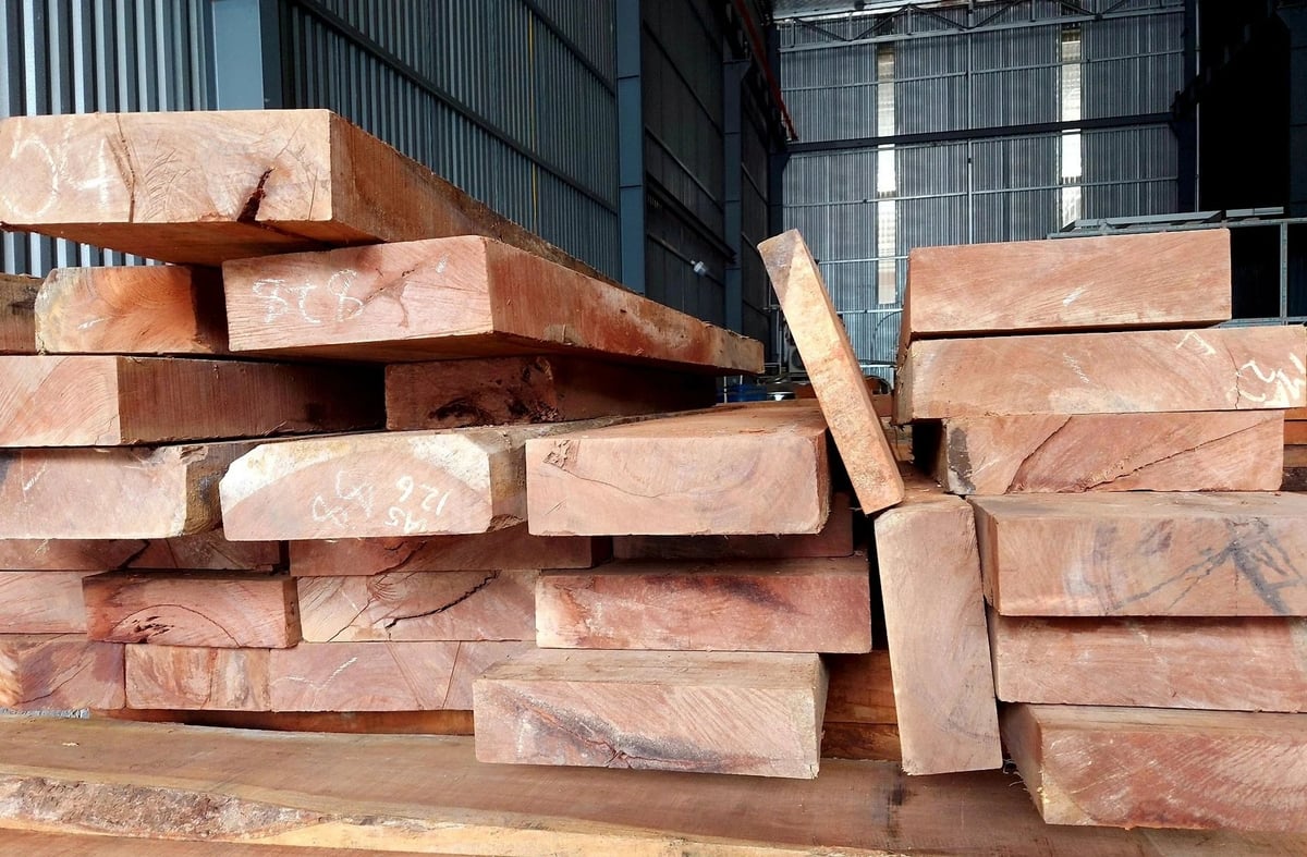 Vietnam is boosting the import of raw wood materials from the U.S. Photo: Son Trang.