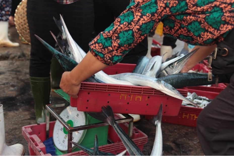 Bến cá Nghi Thủy (Nghệ An) lúc ban mai. Ảnh: Nguyễn Anh Ngọc. Bến cá Nghi Thủy (Nghệ An) lúc ban mai. Ảnh: Nguyễn Anh Ngọc.