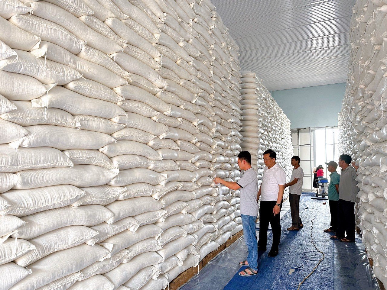 Xuất cấp không thu tiền 668,505 tấn gạo từ nguồn dự trữ quốc gia cho 3 tỉnh: Hà Giang, Tuyên Quang và Bắc Kạn. Ảnh: Baochinhphu.vn. Xuất cấp không thu tiền 668,505 tấn gạo từ nguồn dự trữ quốc gia cho 3 tỉnh: Hà Giang, Tuyên Quang và Bắc Kạn. Ảnh: Baochinhphu.vn.
