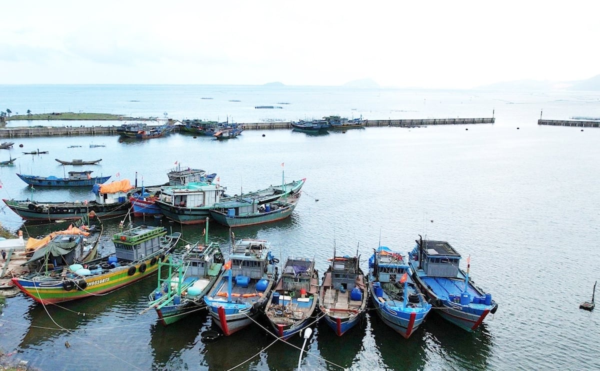 TP Huế đang thực hiện nghiêm các quy định về đánh bắt, khai thác hải sản trên biển. Ảnh: Văn Dinh. TP Huế đang thực hiện nghiêm các quy định về đánh bắt, khai thác hải sản trên biển. Ảnh: Văn Dinh.