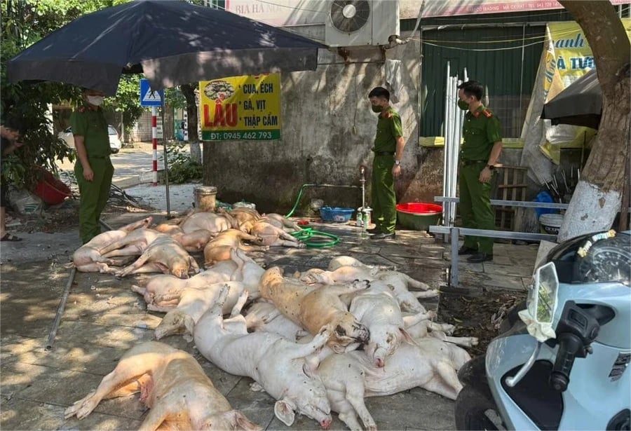 Số lương thịt lợn không rõ nguồn gốc bị phát hiện. Ảnh: Công an tỉnh Vĩnh Phúc. Số lương thịt lợn không rõ nguồn gốc bị phát hiện. Ảnh: Công an tỉnh Vĩnh Phúc.