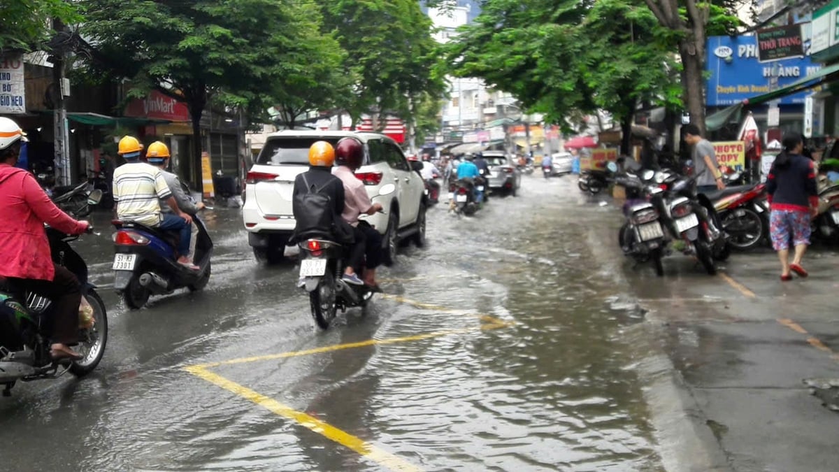 TP.HCM thường xảy ra tình trạng ngập nước, ngã cây, tét nhánh vào mùa mưa bão. Ảnh: Thục Vy. TP.HCM thường xảy ra tình trạng ngập nước, ngã cây, tét nhánh vào mùa mưa bão. Ảnh: Thục Vy.