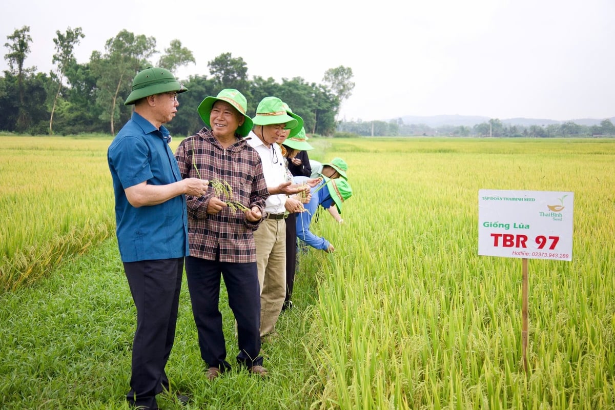 Người dân huyện Đô Lương phản ánh với ông Báo về tình hình sản xuất lúa tại địa phương và tin tưởng những ruộng lúa sử dụng giống chất lượng và áp dụng triệt để các biện pháp kỹ thuật sản xuất thì né được lúa trổ vào thời điểm rét trong tháng 4. Ảnh: Thu Thủy Người dân huyện Đô Lương phản ánh với ông Báo về tình hình sản xuất lúa tại địa phương và tin tưởng những ruộng lúa sử dụng giống chất lượng và áp dụng triệt để các biện pháp kỹ thuật sản xuất thì né được lúa trổ vào thời điểm rét trong tháng 4. Ảnh: Thu Thủy