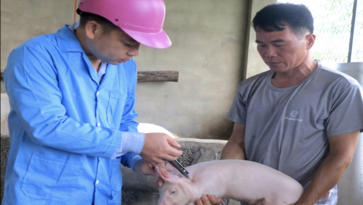 Người dân Lạng Sơn hưởng ứng tiêm phòng dịch tả lợn Châu Phi. Ảnh: Trí Dũng. Người dân Lạng Sơn hưởng ứng tiêm phòng dịch tả lợn Châu Phi. Ảnh: Trí Dũng.
