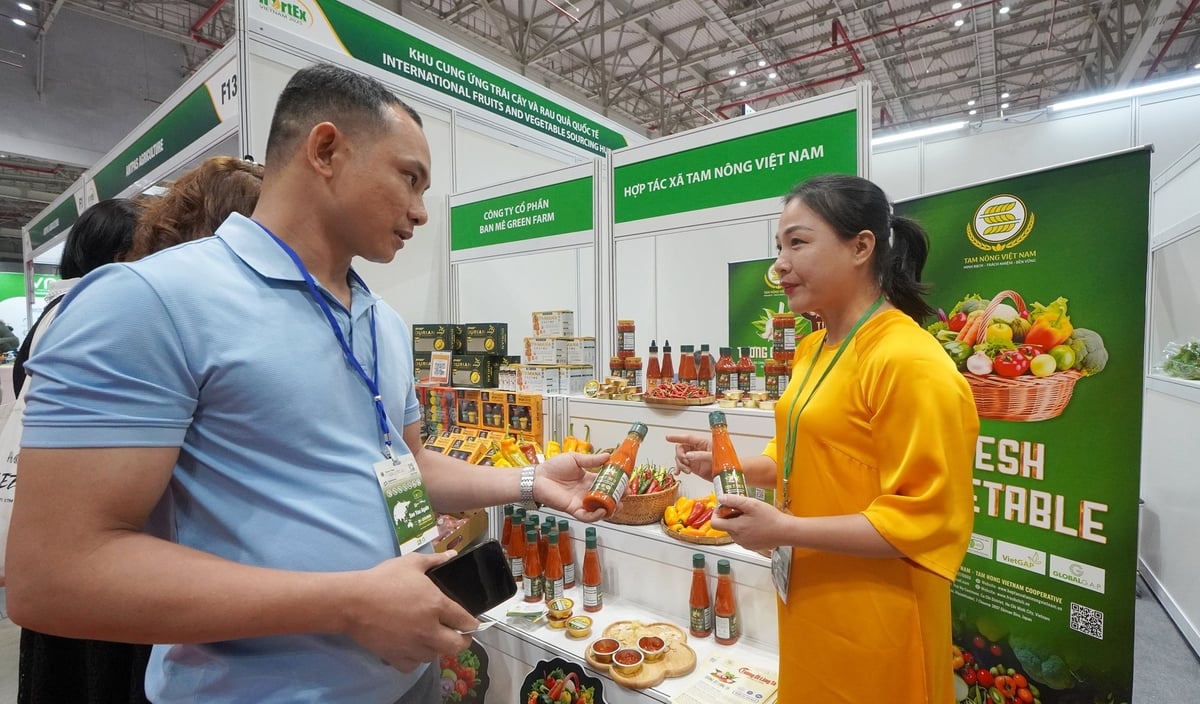 HTX Tam Nông Việt Nam đặt mục tiêu mở rộng xuất khẩu sang nhiều thị trường khó tính. Ảnh: Nguyễn Thủy. HTX Tam Nông Việt Nam đặt mục tiêu mở rộng xuất khẩu sang nhiều thị trường khó tính. Ảnh: Nguyễn Thủy.