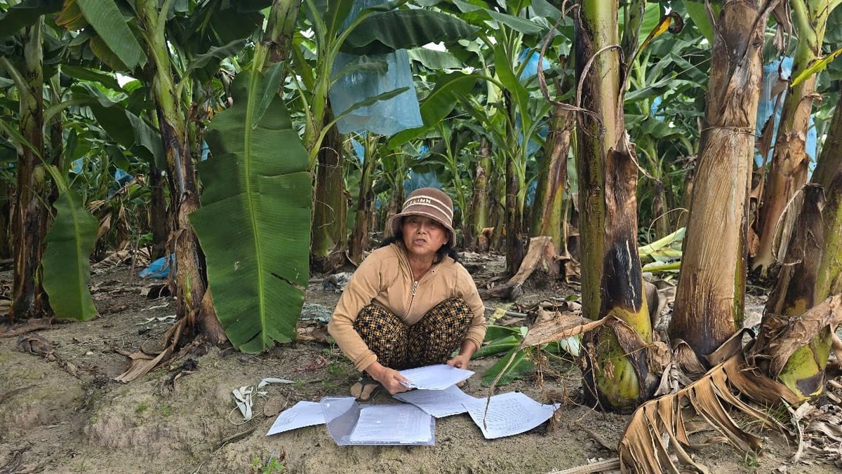 Nhọc nhằn đất công ở Tây Ninh. Ảnh: Hoàng Anh. Nhọc nhằn đất công ở Tây Ninh. Ảnh: Hoàng Anh.