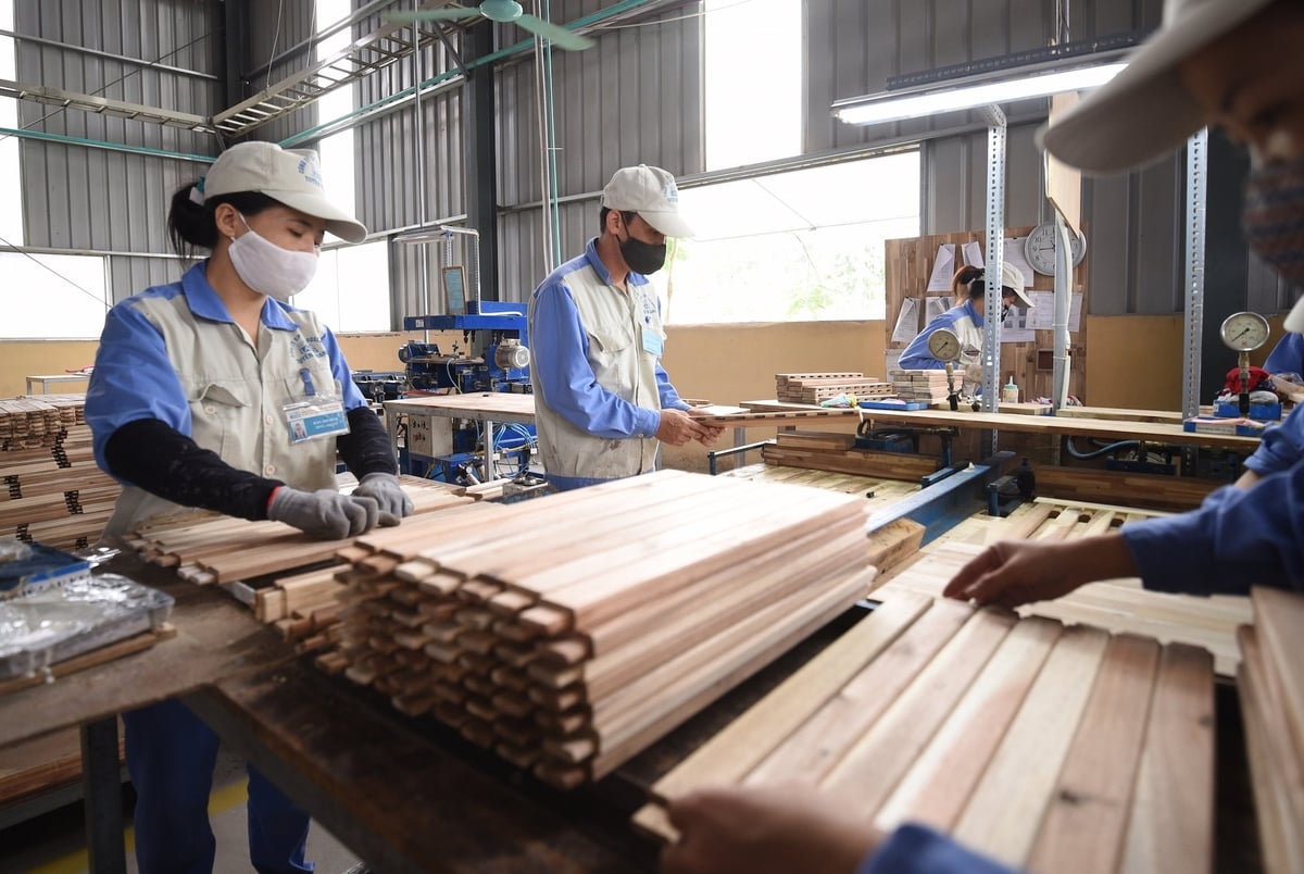 Các thành quả nghiên cứu của Viện Khoa học Lâm nghiệp Việt Nam đã được ứng dụng rộng rãi trong thực tế. Ảnh: Tùng Đinh. Các thành quả nghiên cứu của Viện Khoa học Lâm nghiệp Việt Nam đã được ứng dụng rộng rãi trong thực tế. Ảnh: Tùng Đinh.