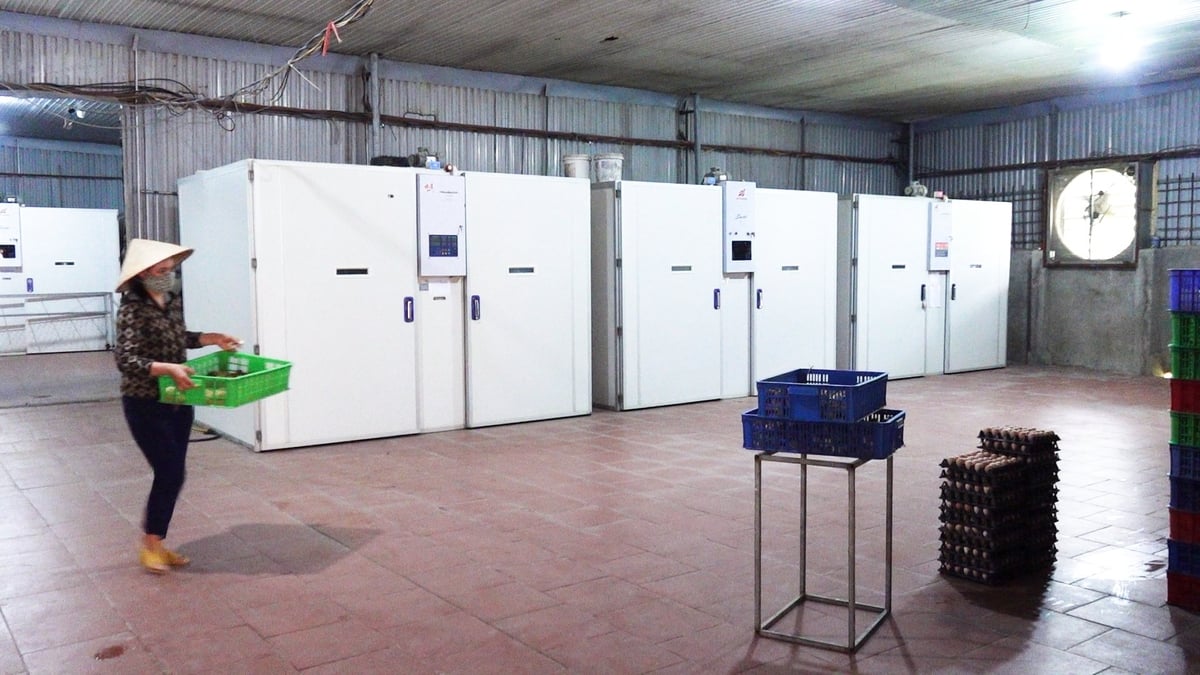 Ứng dụng công nghệ trong chăn nuôi luôn đòi mỏi mức đầu tư lớn. Ảnh: Quang Linh. Ứng dụng công nghệ trong chăn nuôi luôn đòi mỏi mức đầu tư lớn. Ảnh: Quang Linh.