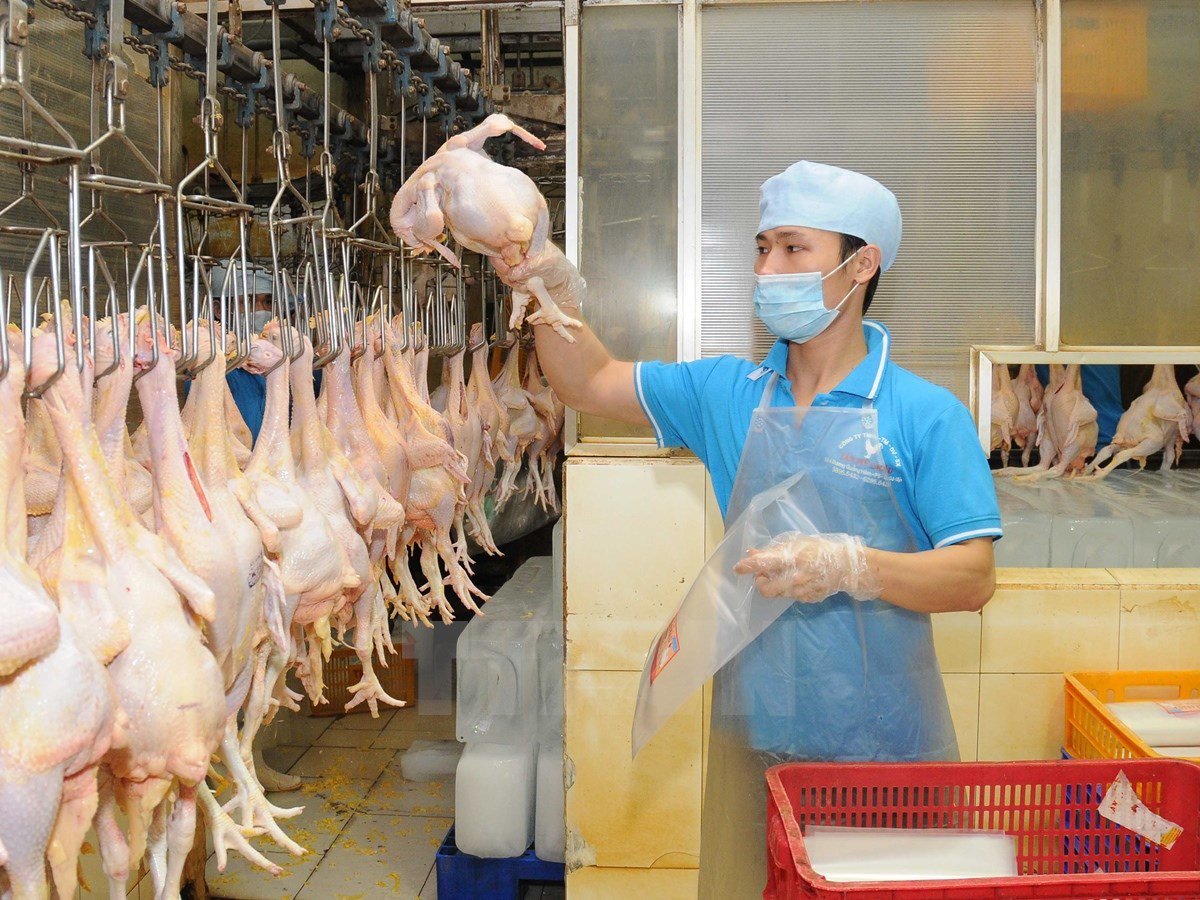 Indonesia là thị trường có nhu cầu lớn về nhóm các sản phẩm Halal. Ảnh: minh họa. Indonesia là thị trường có nhu cầu lớn về nhóm các sản phẩm Halal. Ảnh: minh họa.