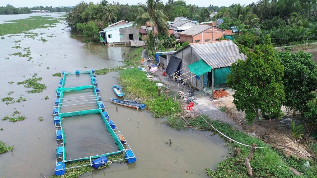 Tỉnh Long An chủ động nhiều giải pháp phòng ngừa, ứng phó với diễn biến thiên tai. Ảnh: Thanh Bạch. Tỉnh Long An chủ động nhiều giải pháp phòng ngừa, ứng phó với diễn biến thiên tai. Ảnh: Thanh Bạch.