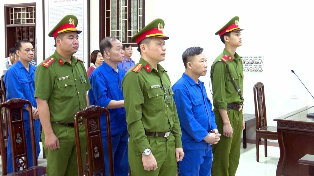 Các bị cáo Lưu Bình Nhưỡng (hàng đầu), Lê Thanh Vân (hàng giữa) và Nguyễn Văn Vương tại phiên phúc thẩm. Ảnh: Danh Lam/VnExpress. Các bị cáo Lưu Bình Nhưỡng (hàng đầu), Lê Thanh Vân (hàng giữa) và Nguyễn Văn Vương tại phiên phúc thẩm. Ảnh: Danh Lam/VnExpress.