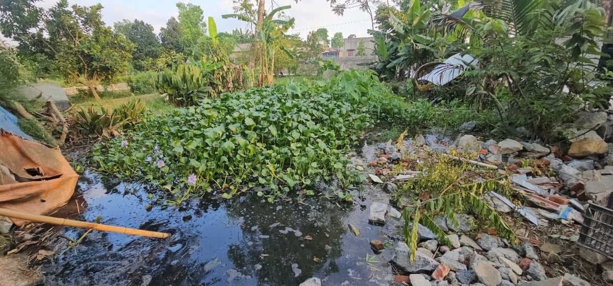 Ao chứa nước thải bốc mùi thối, gây ô nhiễm môi trường. Ảnh: Quốc Toản. Ao chứa nước thải bốc mùi thối, gây ô nhiễm môi trường. Ảnh: Quốc Toản.