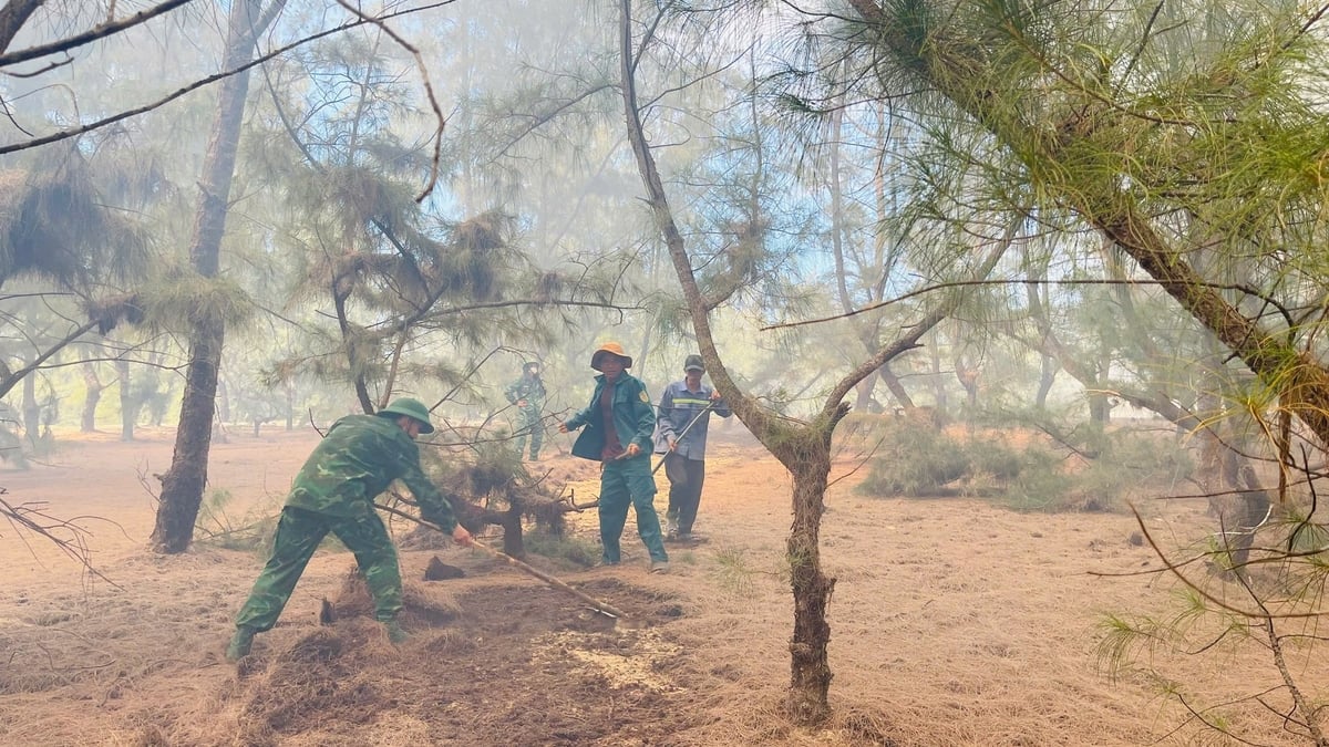 Lực lượng chức năng làm đường băng cản lửa, phát quang khu vực dễ gây cháy, không để đám cháy lây lan. Ảnh: CCKL. Lực lượng chức năng làm đường băng cản lửa, phát quang khu vực dễ gây cháy, không để đám cháy lây lan. Ảnh: CCKL.