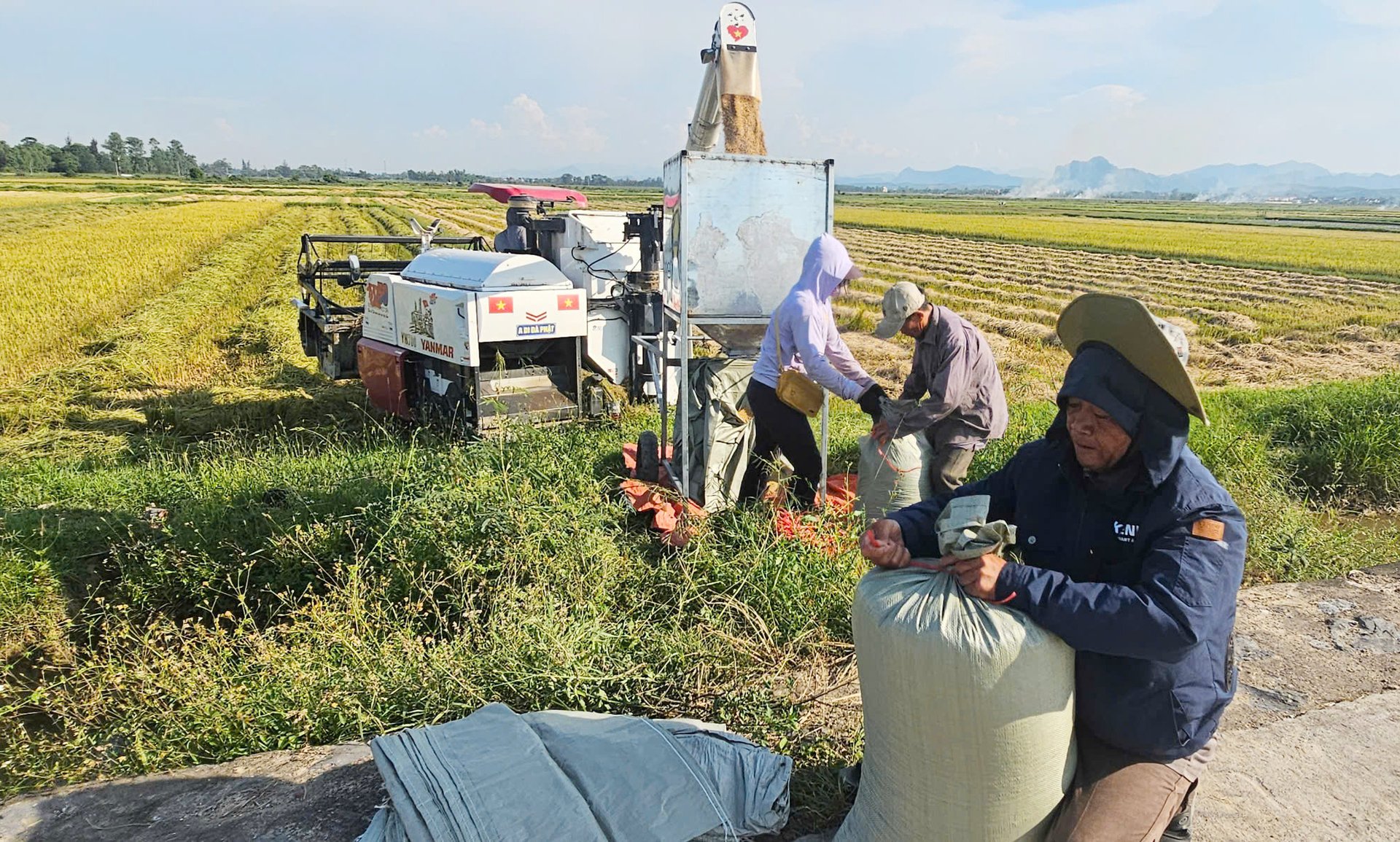 Dù năng suất không bằng vụ đông xuân năm ngoái nhưng nông dân Quảng Bình vẫn được mùa và có lãi khá. Ảnh: Tâm Đức. Dù năng suất không bằng vụ đông xuân năm ngoái nhưng nông dân Quảng Bình vẫn được mùa và có lãi khá. Ảnh: Tâm Đức.