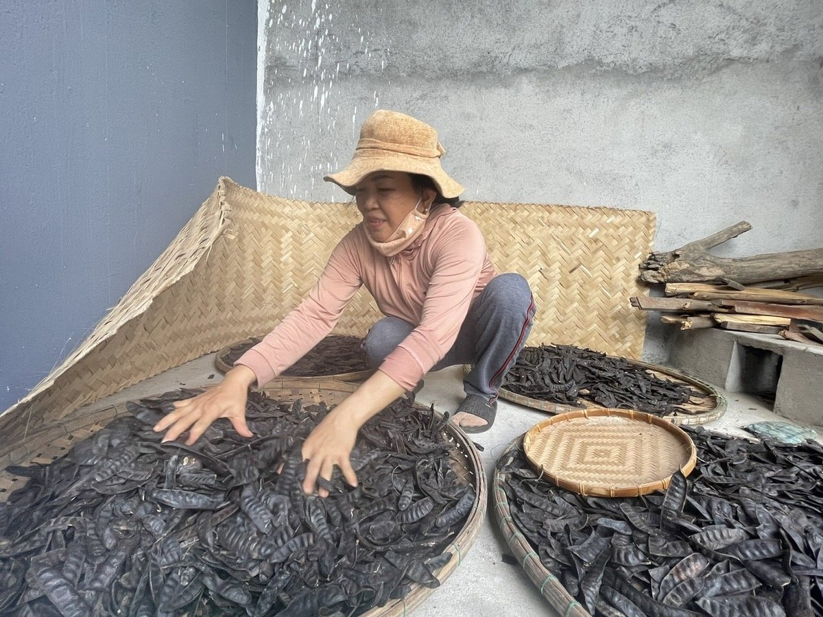 Cơ sở sản xuất của chị Cẩm giúp tạo việc làm cho nhiều phụ nữ nông thôn. Ảnh: Võ Hà. Cơ sở sản xuất của chị Cẩm giúp tạo việc làm cho nhiều phụ nữ nông thôn. Ảnh: Võ Hà.