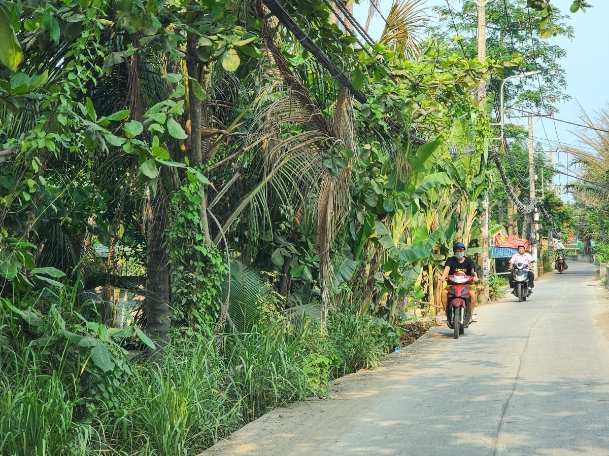 Hàng nghìn hộ dân ở khu bán đảo Bình Qưới - Thanh Đa chịu ảnh hưởng suốt hơn 30 năm qua do dự án 'treo'. Ảnh: Thục Vy. Hàng nghìn hộ dân ở khu bán đảo Bình Qưới - Thanh Đa chịu ảnh hưởng suốt hơn 30 năm qua do dự án 'treo'. Ảnh: Thục Vy.