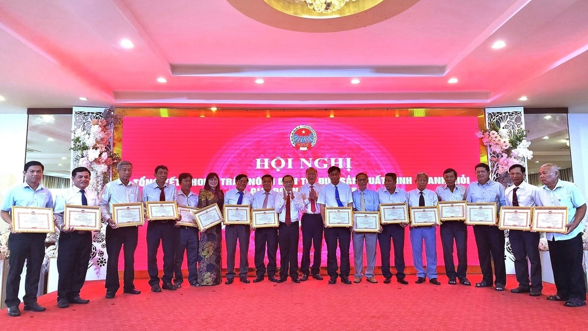 Hội Nông dân TP Cần Thơ công nhận danh hiệu Nông dân sản xuất, kinh doanh giỏi cấp thành phố hội viên, nông dân. Ảnh: Kim Anh. Hội Nông dân TP Cần Thơ công nhận danh hiệu Nông dân sản xuất, kinh doanh giỏi cấp thành phố hội viên, nông dân. Ảnh: Kim Anh.