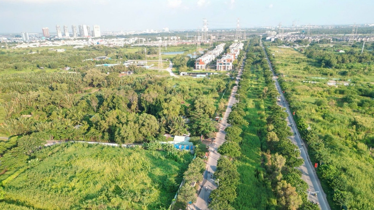 TPHCM sẽ thí điểm xây dựng dự án nhà ở thương mại trên đất nông nghiệp. Ảnh: Bích Trần.