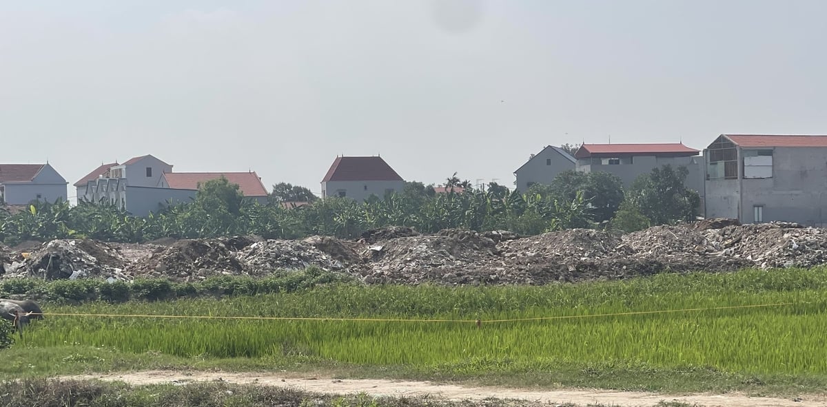 Xã Dương Quang xác nhận việc Công ty TNHH Dịch vụ tổng hợp T&T dùng chất thải xây dựng làm vật liệu san lấp là sai. Ảnh: Phạm Hoàng. Xã Dương Quang xác nhận việc Công ty TNHH Dịch vụ tổng hợp T&T dùng chất thải xây dựng làm vật liệu san lấp là sai. Ảnh: Phạm Hoàng.