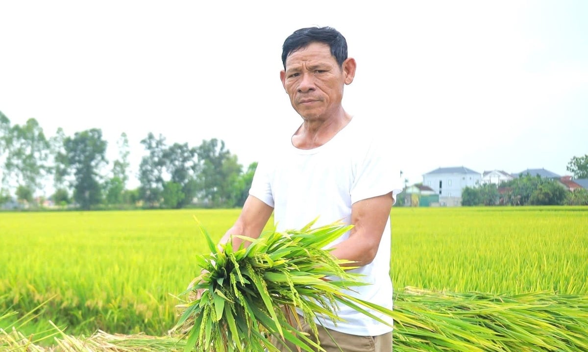 Tâm trạng của ông Nguyễn Đình Chữ cũng là nỗi lòng chung của nhiều hộ dân khác. Ảnh: Ngọc Linh.