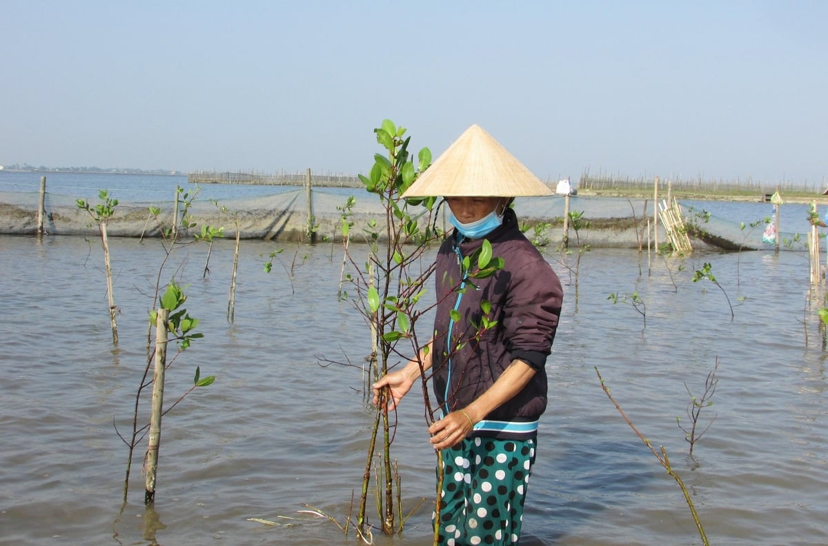 Dự án góp phần nâng cao khả năng phục hồi của các cộng đồng dễ bị tổn thương do tác động của biến đổi khí hậu, trước hết là phụ nữ địa phương. Ảnh: Văn Dinh. Dự án góp phần nâng cao khả năng phục hồi của các cộng đồng dễ bị tổn thương do tác động của biến đổi khí hậu, trước hết là phụ nữ địa phương. Ảnh: Văn Dinh.