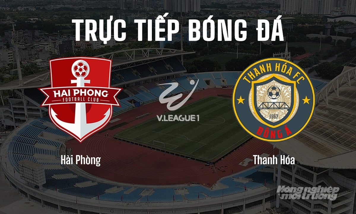 Trực tiếp bóng đá V-League 2024/25 giữa Hải Phòng vs Thanh Hóa hôm nay 16/5/2025 Trực tiếp bóng đá V-League 2024/25 giữa Hải Phòng vs Thanh Hóa hôm nay 16/5/2025