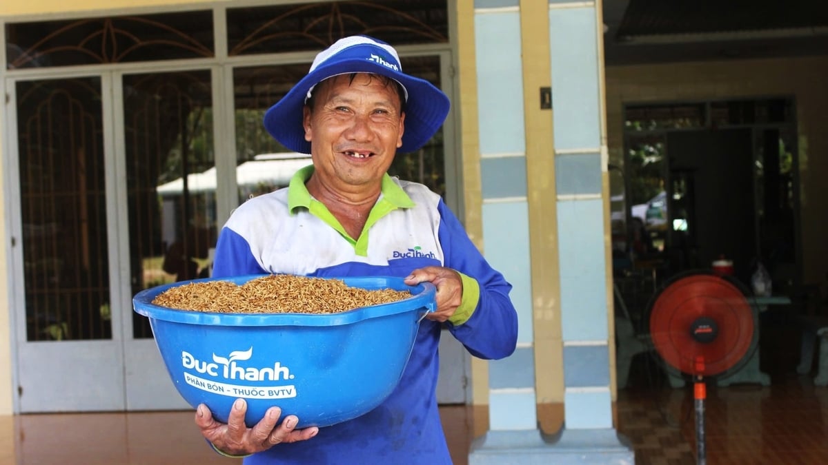 Ông Nguyễn Văn Có, nông dân tiên phong tại Tây Ninh tham gia mô hình sản xuất lúa sạch giảm phát thải. Ảnh: Trần Phi. Ông Nguyễn Văn Có, nông dân tiên phong tại Tây Ninh tham gia mô hình sản xuất lúa sạch giảm phát thải. Ảnh: Trần Phi.