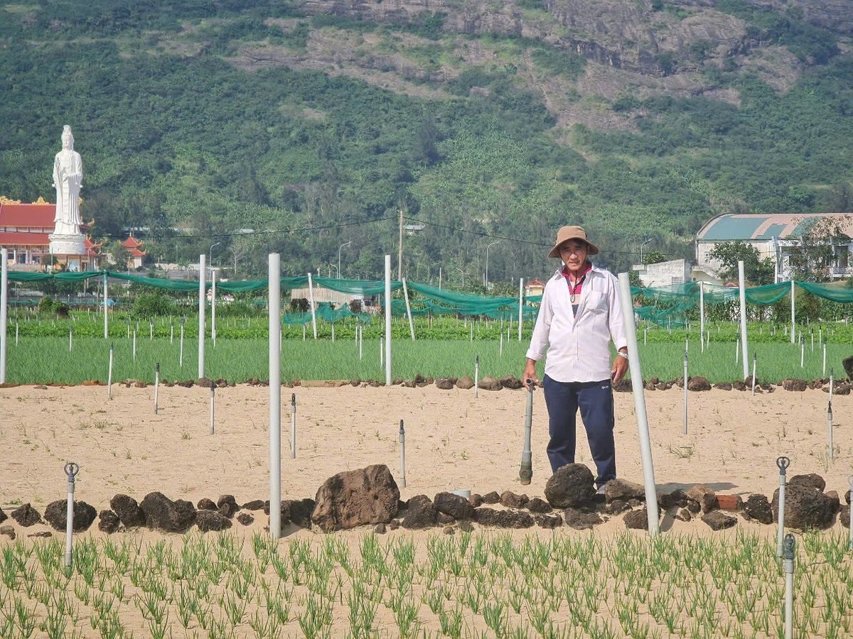 Ông Dũng là người tiên phong sử dụng béc phun tưới cho cây trồng trên huyện đảo Lý Sơn. Ảnh: Văn Hà. Ông Dũng là người tiên phong sử dụng béc phun tưới cho cây trồng trên huyện đảo Lý Sơn. Ảnh: Văn Hà.