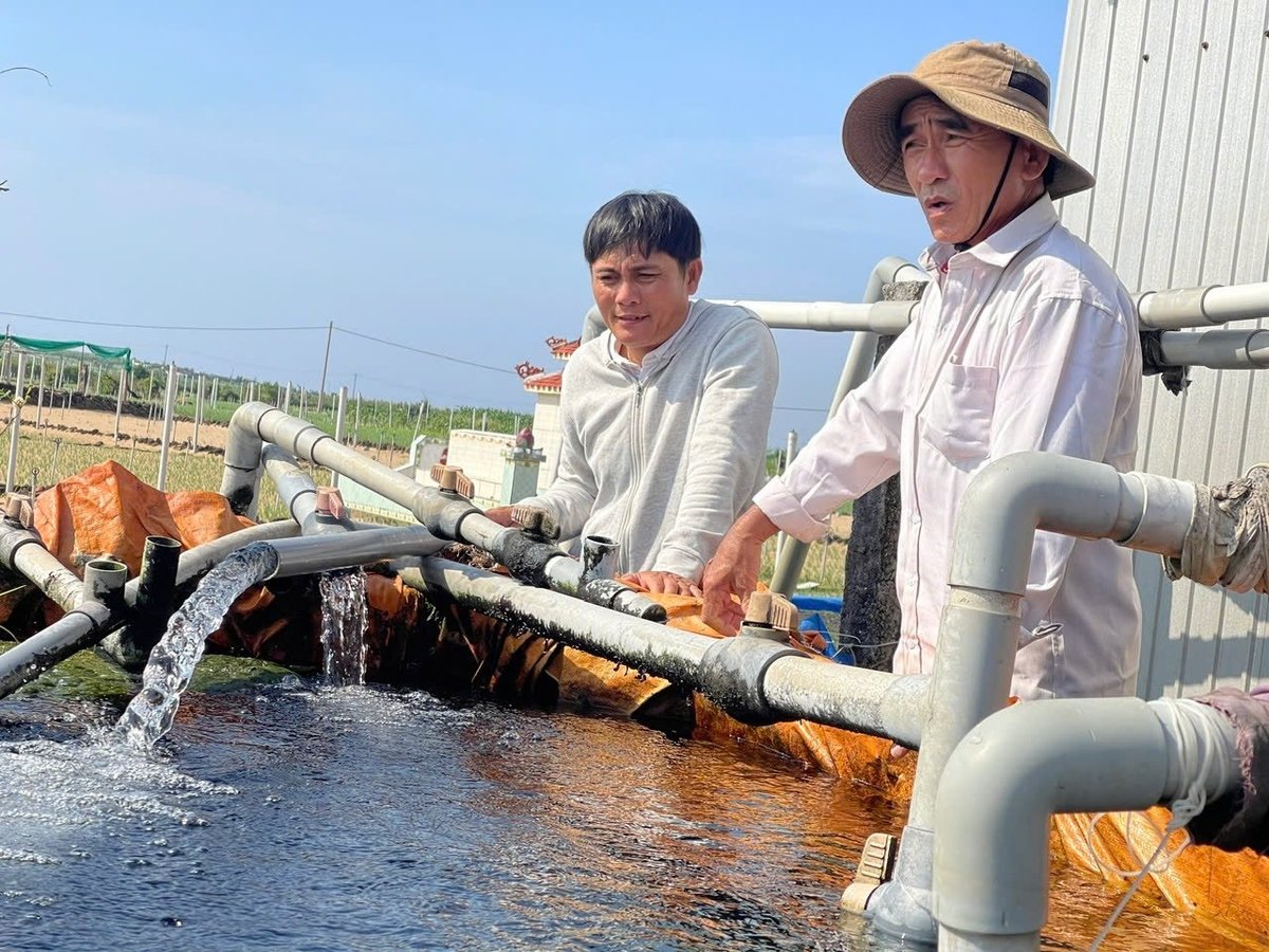 Từ 15 năm trước, ông Dũng đã mạnh dạn đầu tư hàng chục triệu đồng để khoan giếng, bắt mạch nước ngầm để tưới cây. Ảnh: Văn Hà. Từ 15 năm trước, ông Dũng đã mạnh dạn đầu tư hàng chục triệu đồng để khoan giếng, bắt mạch nước ngầm để tưới cây. Ảnh: Văn Hà.