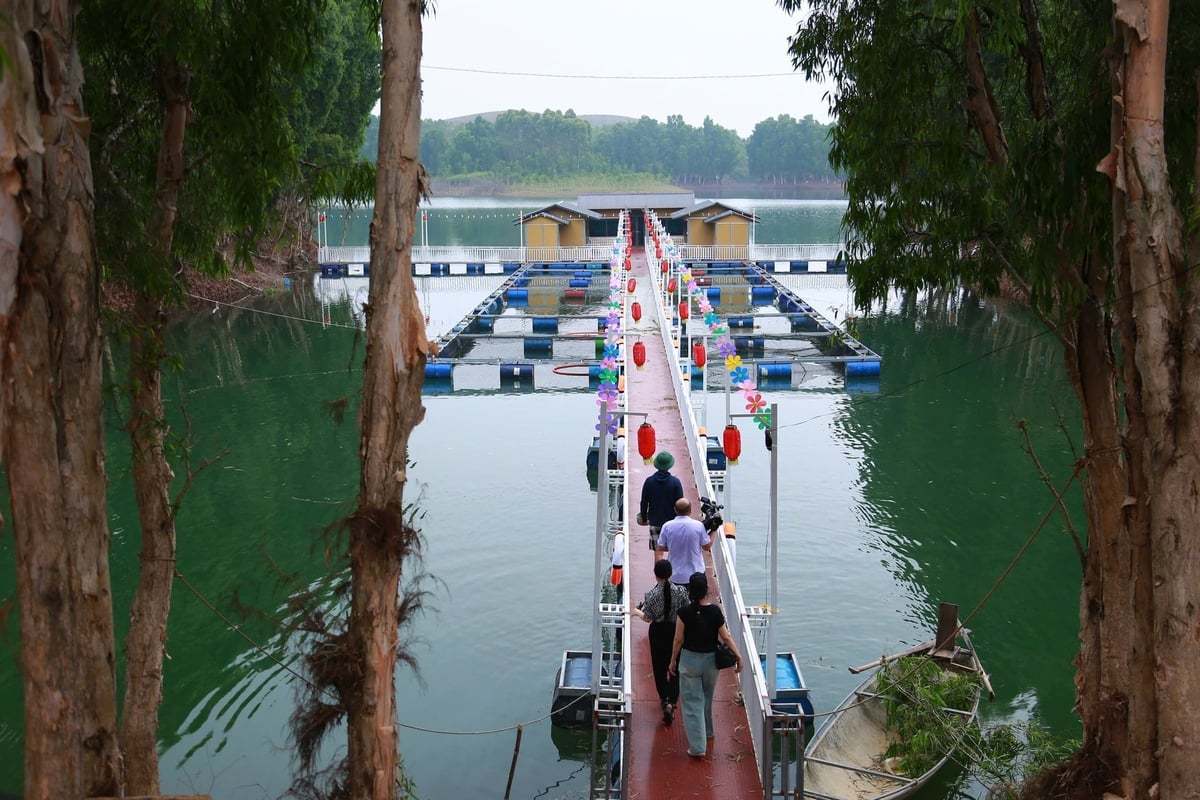 Để mang đến cho du khách nhiều trải nghiệm hơn, anh Tình đã đầu tư xây dựng thêm các khu vườn cherry, vườn hoa và cây cảnh, khu nuôi cá kết hợp nhà nổi trên mặt hồ, bể bơi, cùng với nhà sàn để nghỉ ngơi và sinh hoạt cộng đồng. Ảnh: Thanh Ngà.