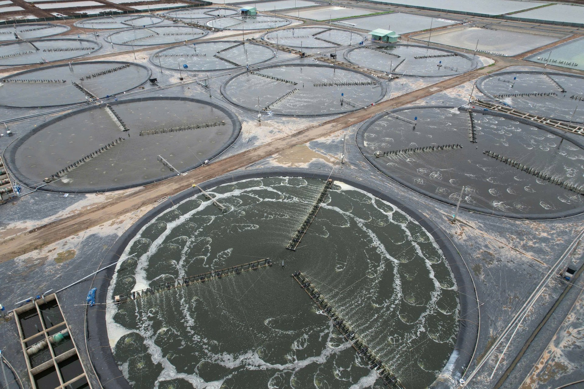Khu phức hợp ngành tôm công nghệ cao của Tập đoàn GrowMax tại huyện Đông Hải, Bạc Liêu. Ảnh: Hồng Thắm. Khu phức hợp ngành tôm công nghệ cao của Tập đoàn GrowMax tại huyện Đông Hải, Bạc Liêu. Ảnh: Hồng Thắm.