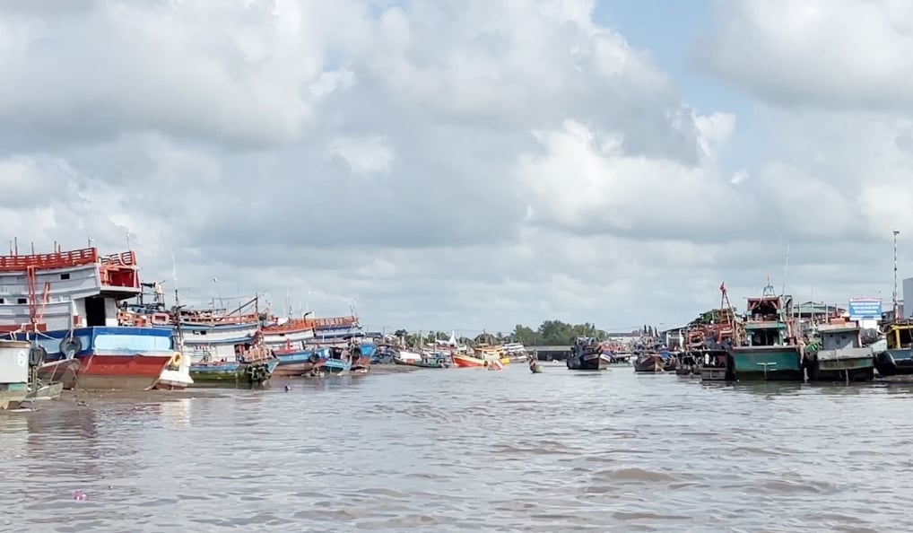 Trà Vinh sẽ triển khai nhiều biện pháp để kiểm soát chặt hoạt động của các tàu cá khai thác thủy sản trên biển. Ảnh: Lê Hùng. Trà Vinh sẽ triển khai nhiều biện pháp để kiểm soát chặt hoạt động của các tàu cá khai thác thủy sản trên biển. Ảnh: Lê Hùng.